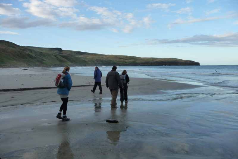 Nieuw-Zeeland 2011 - 2004